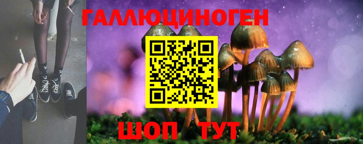 Галлюциногенные грибы GOLDEN TEACHER  Вход с VPN  Рыбинск 